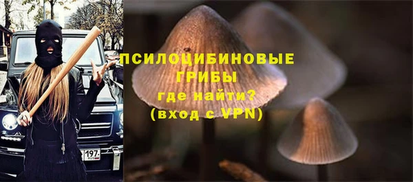 гашик Мегион