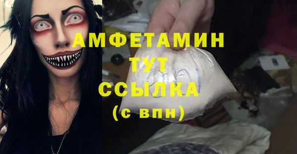гашик Мегион
