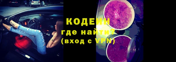 прущие грибы Михайлов