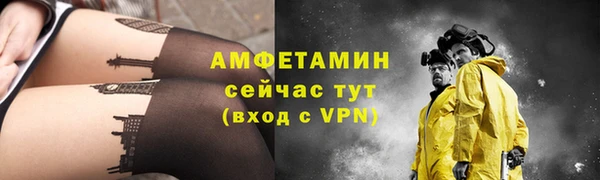 прущие грибы Михайлов