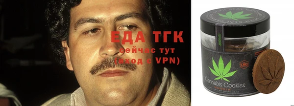 гашик Мегион