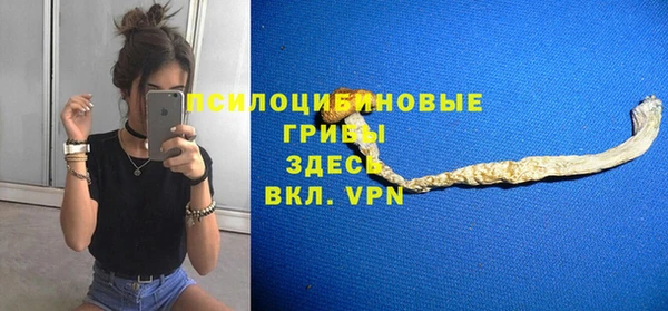 гашик Мегион