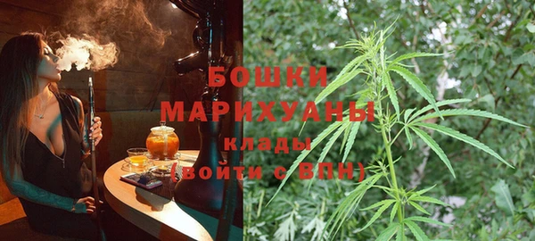 гашик Мегион