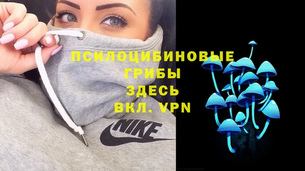 меф Медвежьегорск
