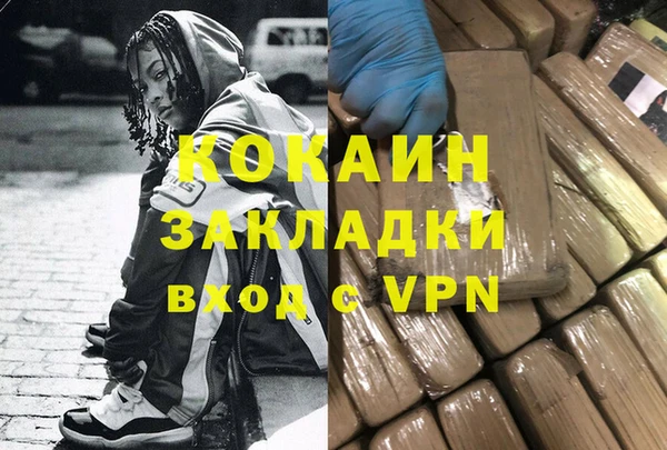 гашик Мегион