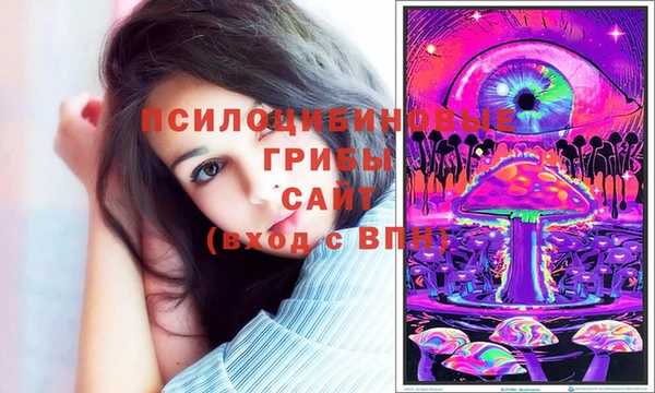 гашик Мегион