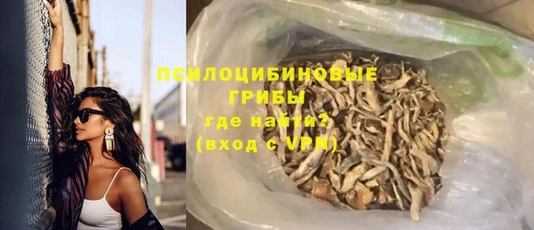 прущие грибы Михайловск